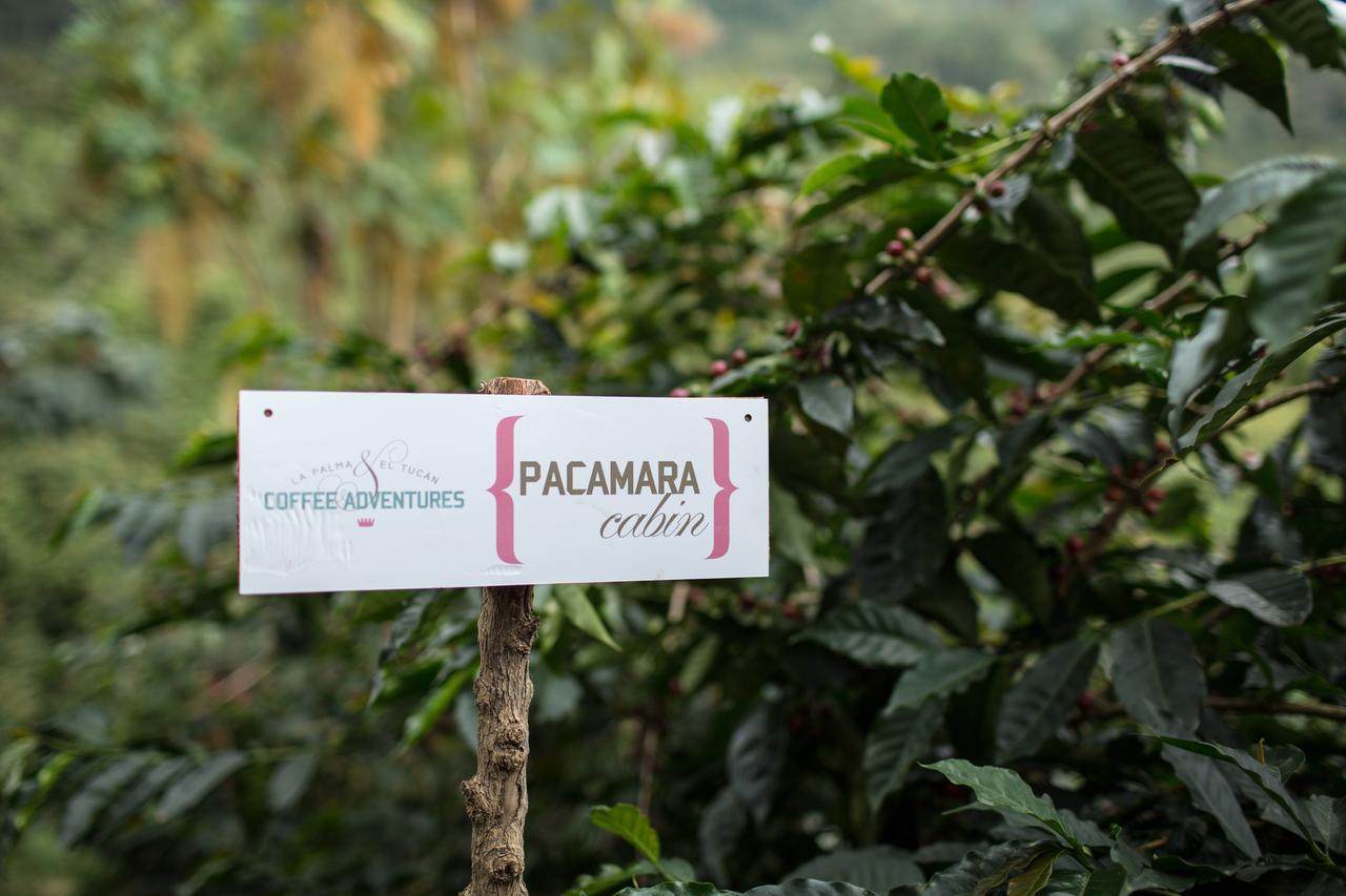 Coffee & Adventure Hotel By La Palma Y El Tucan Zipacon Kültér fotó
