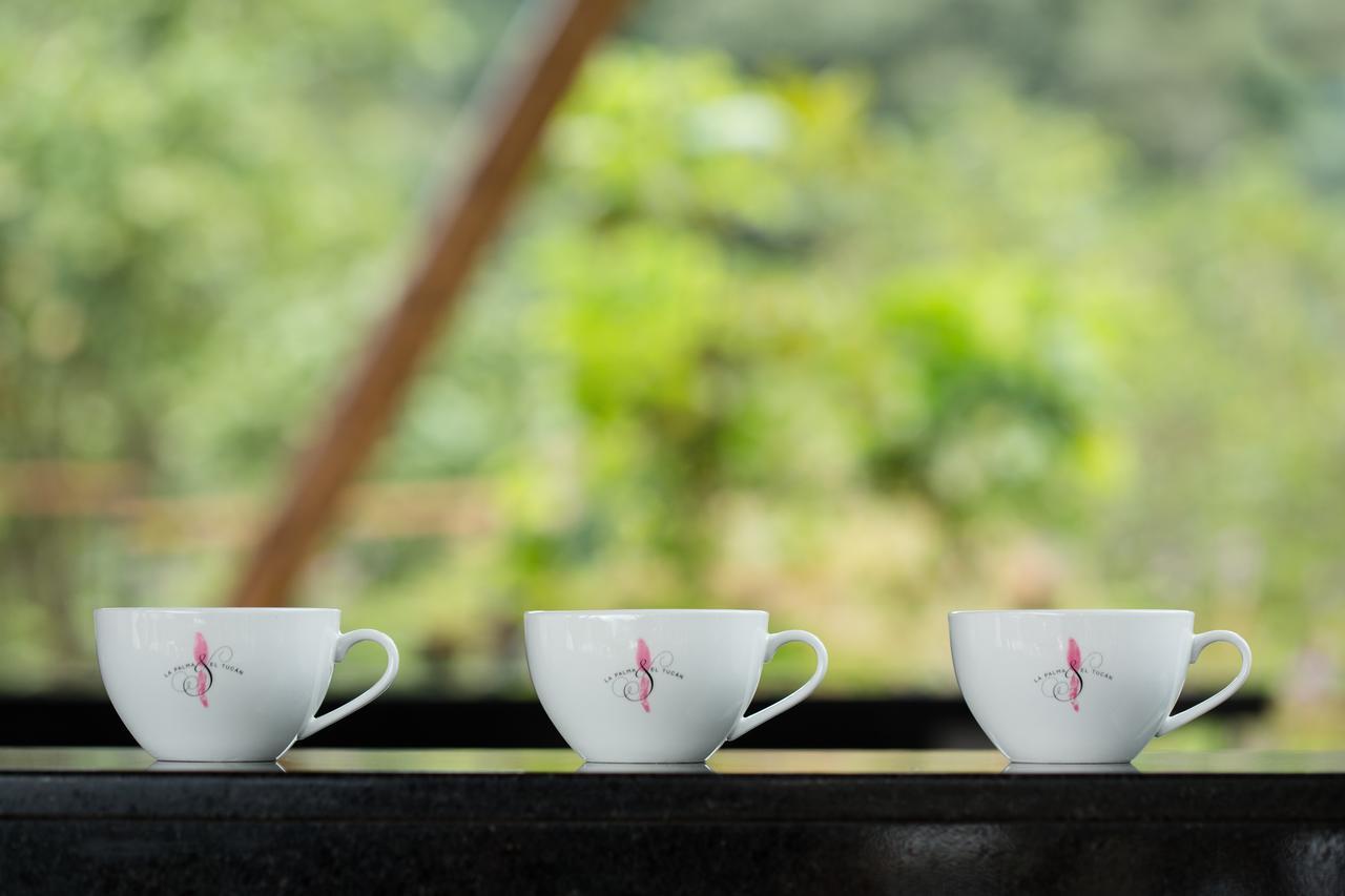 Coffee & Adventure Hotel By La Palma Y El Tucan Zipacon Kültér fotó