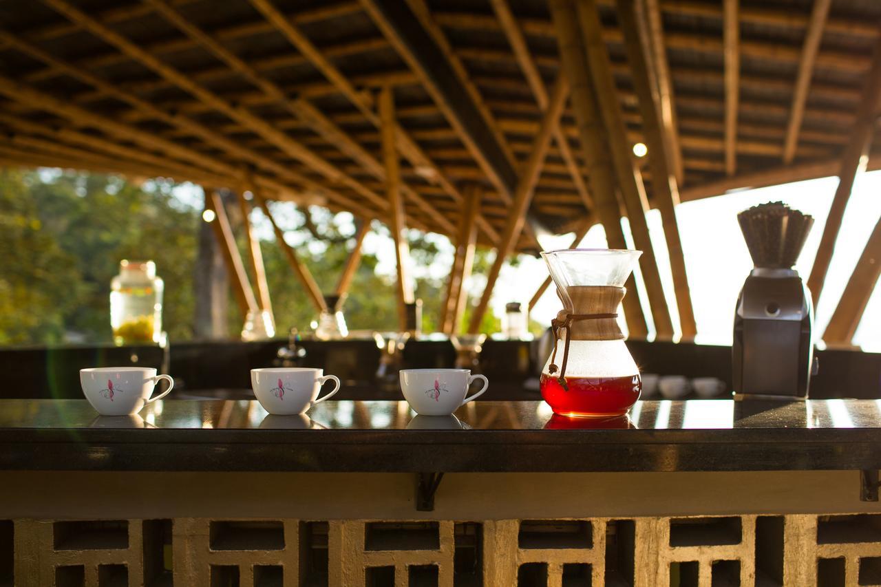 Coffee & Adventure Hotel By La Palma Y El Tucan Zipacon Kültér fotó