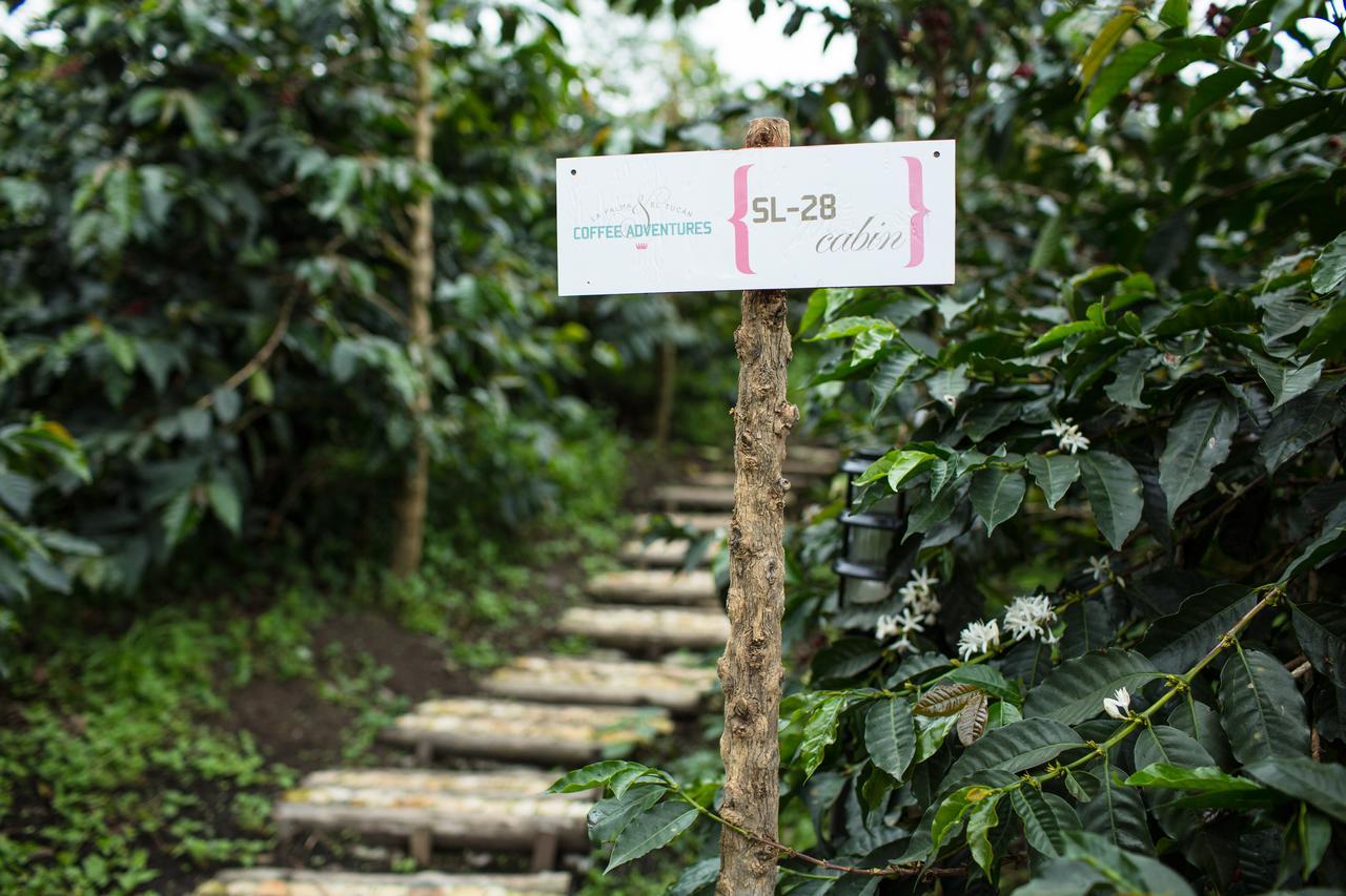 Coffee & Adventure Hotel By La Palma Y El Tucan Zipacon Kültér fotó