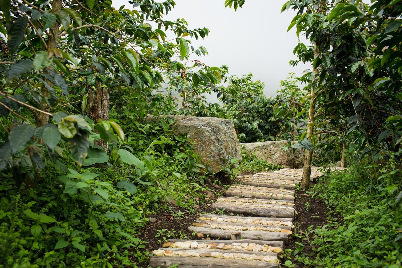 Coffee & Adventure Hotel By La Palma Y El Tucan Zipacon Kültér fotó