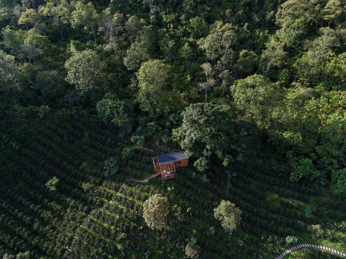 Coffee & Adventure Hotel By La Palma Y El Tucan Zipacon Kültér fotó